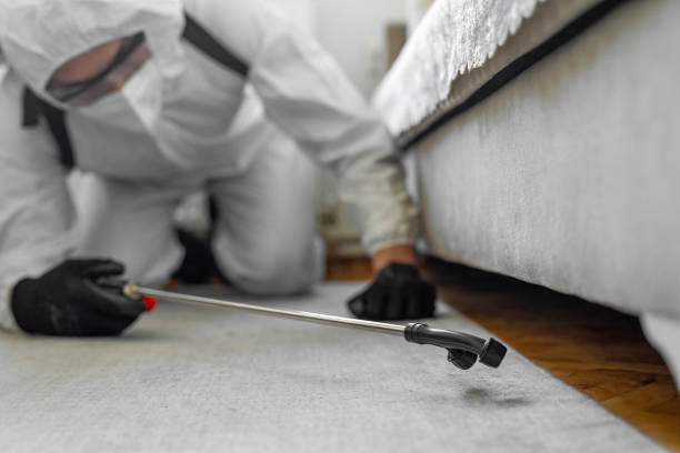 Professional Bed Bug Control technician working in Urania, LA