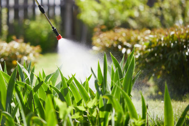24/7 Emergency Bed Bug Control experts in Urania, LA