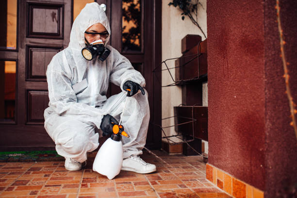 Reliable Bed Bug Control contractor in Urania, LA by Nex Pest Control